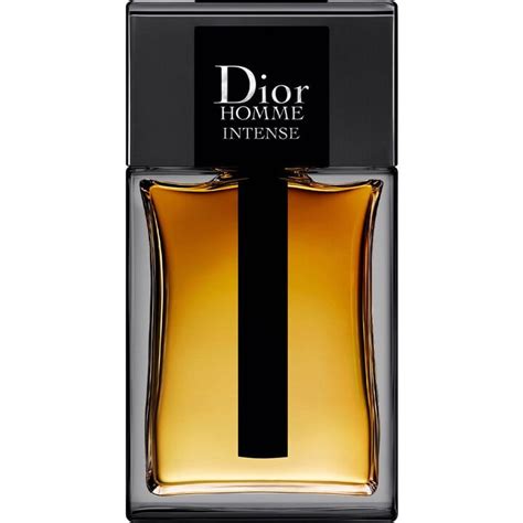 dior homme 2011 review